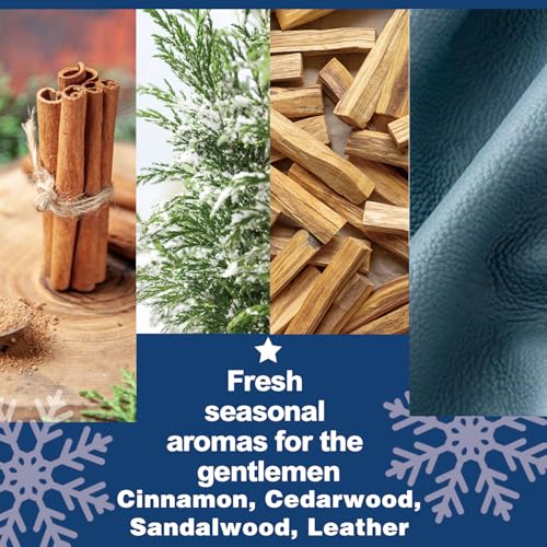 Men's 24-Day Beard & Skincare Advent Calendar - Holiday Grooming Gift Set
