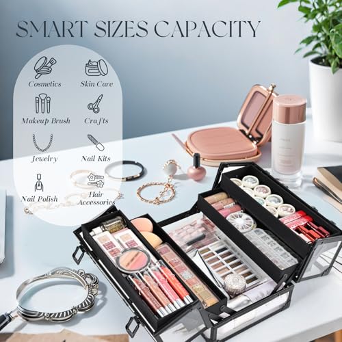 FRENESSA Portable Makeup Case Cosmetics Display Toiletry Organizer Box Transparent Acrylic Artists Train Case with 4 Trays Travel Makeup Tools Storage for Vanity Counter Dresser Organizer Black