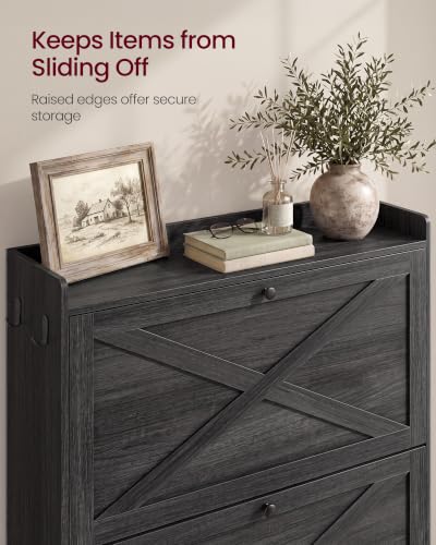 VASAGLE Narrow Shoe Storage Cabinet Organizer with 2 Flip Drawers - Smoky Black