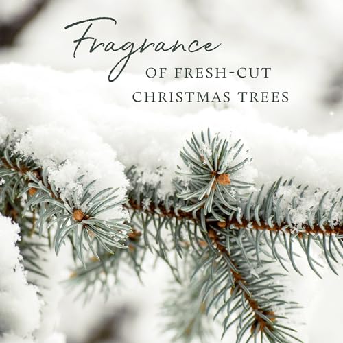 Frasier Fir Holiday Gift Set with Hand Cream, Candle & Soap - Scented Home Fragrance