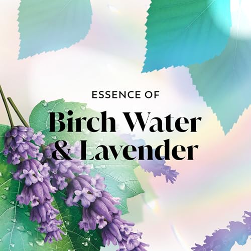 Olay Body Wash for Women - Fresh Radiance with Birch Water & Lavender - 33 fl oz Pack of 4