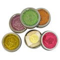 Honey House Naturals Bee Bar Gift Set ? Small Bee Bar .6 ounces ? All-Natural Ultra Moisturizing Lotion Bar Infused with Essential Oils and Butters ? 5 Piece Set