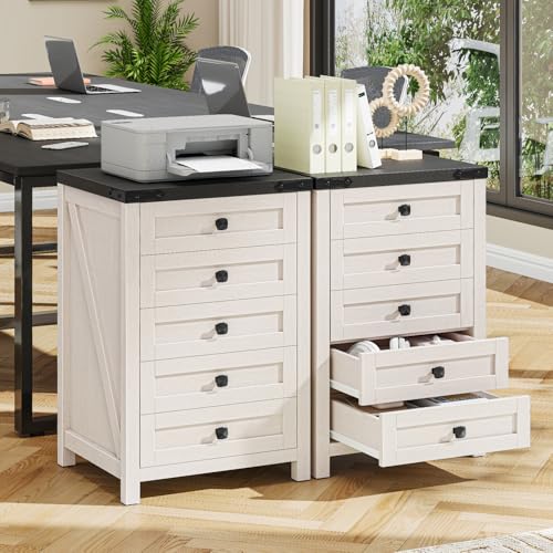 Halitaa Rustic White & Black 5 Drawer Farmhouse File Cabinet - Compact Vertical Storage, 15.75 x 18.11 x 27.76 inches