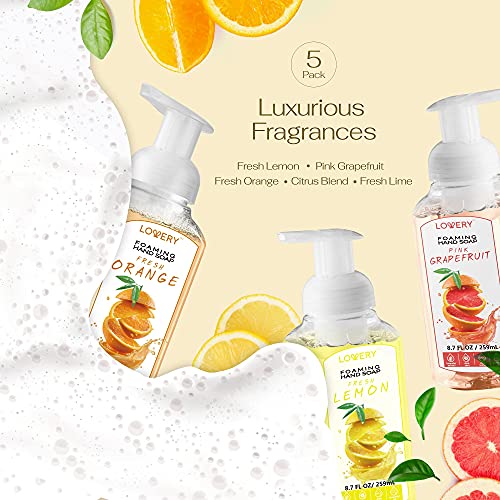 Foaming Hand Soap Pump - 5-PK - Moisturizing Hand Soap Foam with Aloe Vera & Essential Oils - Alcohol-Free Hand Wash in Citrus Blend, Lemon, Orange, Lime, Grapefruit Fragrances for Kitchen & Bathroom
