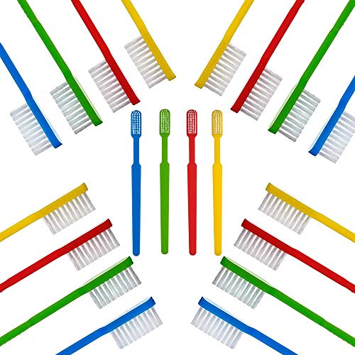 Mint Disposable Toothbrushes Pack of 288 - Individually Wrapped, No Water Needed