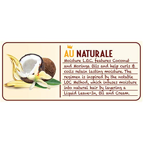 SoftSheen-Carson Dark and Lovely Au Naturale Moisture LOC Sulfate-Free Cleansing Shampoil, 13.5 fl oz