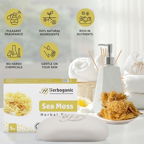 HERBOGANIC Sea Moss Herbal Soap | Pack of 3 of 5oz soap Bar | Natural Bar Soap for Face and Body | Hydrating and Nourishing | Suitable for Men and Women