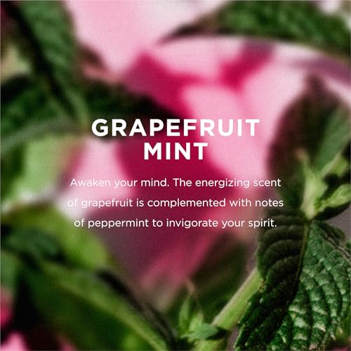EO Grapefruit Mint Shampoo & Conditioner Set, 16 oz each