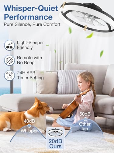 20-Inch Smart Ceiling Fan with Lights, Remote & Alexa Control, Black+Gold, Low Profile Flush Mount