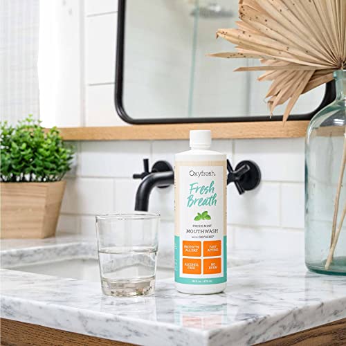 Oxyfresh Premium Fresh Mint Mouthwash 16 Fl Oz Pack of 3 - Alcohol-Free, Light Flavor, Zero Burn