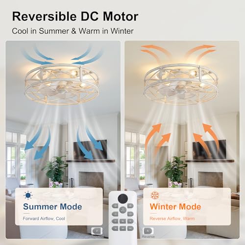 20-Inch White Gold Industrial Caged Ceiling Fan with Light & Remote