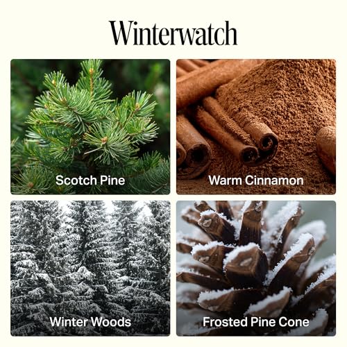 Preston Lane Hand Soap & Lotion Set, Winterwatch Scent ? Hydrating Hand Wash and Moisturizing Hand Cream Duo | Clean Ingredients, Vegan & Cruelty Free Bathroom and Kitchen Essentials Gift Set