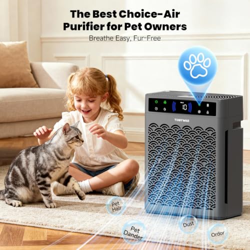TDBYWAE Large Room Air Purifier with HEPA Filter & Fragrance - Grey