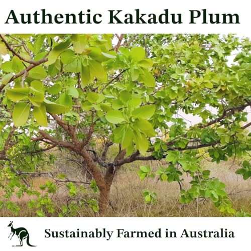 Vitamin C Serum with Organic Kakadu Plum Oil 2oz - Natural Skin Brightening