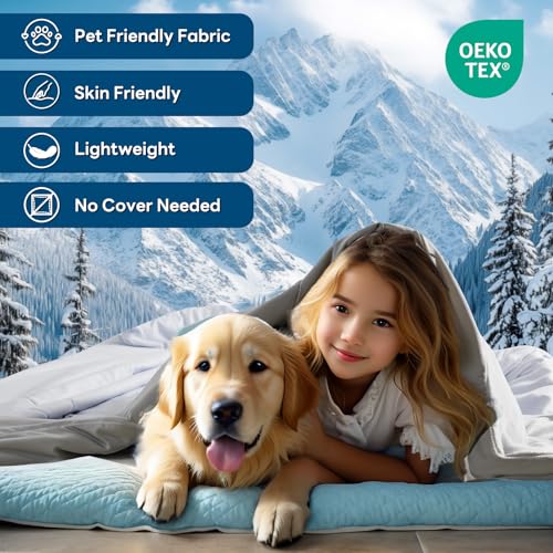 NEXHOME PRO King Size Double-Sided Cooling Comforter Blue & Grey All Season