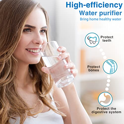 DTESL 4 Black & 4 Fluoride Water Filter Replacement Set for Ber-key BB9-2 & PF-2 Systems