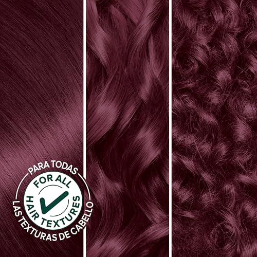 Garnier Nutrisse Ultra Crème Permanent Hair Color 42 Deep Burgundy Pack of 2