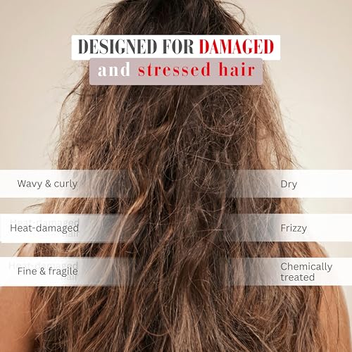 Hydrolyzed Wheat Protein & Argan Oil Sulfate-Free Hair Shampoo for Dry & Frizzy Hair