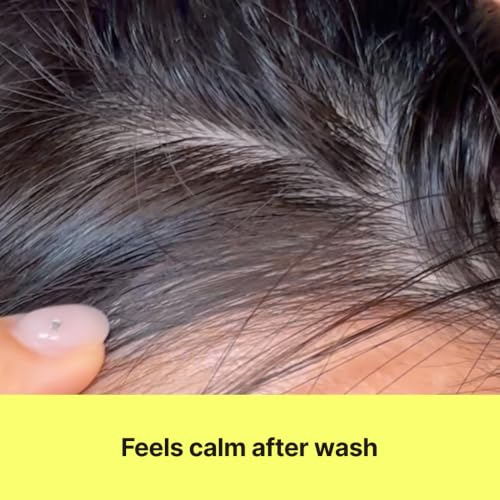 Korean Kelp Shampoo for Sensitive & Itchy Scalp - Sulfate-Free Hydrating Hair Cleanser