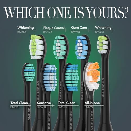 Rechargeable Sonic Electric Toothbrush with 5 Modes & 4 Brush Heads