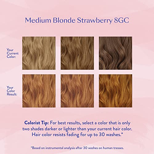 eSalon Permanent Hair Color Kit - Medium Blonde Strawberry 8GC - Gray Coverage & Professional-Grade Dye