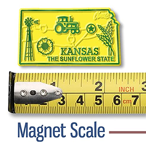 U.S. State Magnet Set - 51 3D Rubber Souvenir Magnets for Collectors - Made in USA