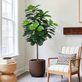 5Ft Artificial Fiddle Leaf Fig Tree Indoor for Home Decor - Faux Plant