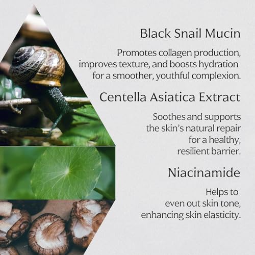 MIZON Black Snail All in One Cream 2.53 fl oz - Rejuvenating Face Moisturizer for Sensitive Skin