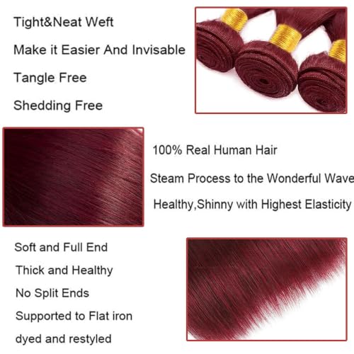 Brazilian Virgin Human Hair Bundles 99J Burgundy Straight Wave 8-30 Inch