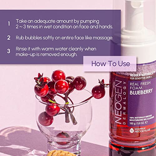 DERMALOGY by NEOGENLAB Blueberry Real Fresh Foam Cleanser 5.6 Fl Oz - Gentle Hydrating Facial Wash