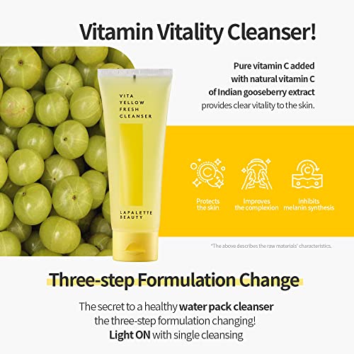 Korean Vitamin C Facial Cleanser - Gentle 1-Step Moisturizing Skin Wash