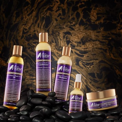 The Mane Choice Ancient Egyptian Anti-Breakage & Repair Antidote Conditioner for Coily, Wavy & Curly Hair, Hydrates & Strengthens Your Hair, Nourishes Dry, Brittle Hair, 8 Oz
