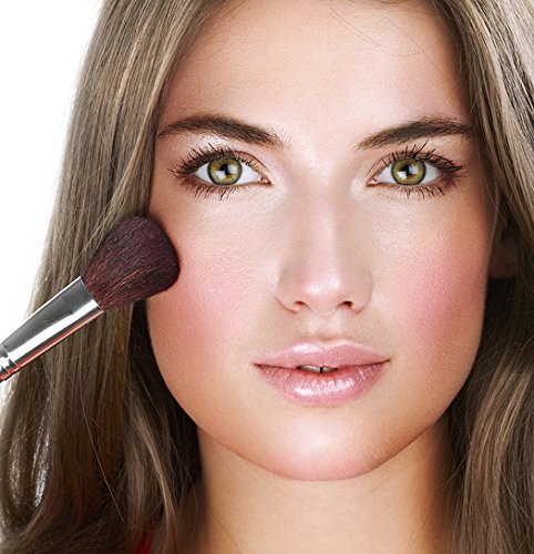 100% Natural Goat Hair Makeup Brush Set for Contouring, Blending & Highlighting