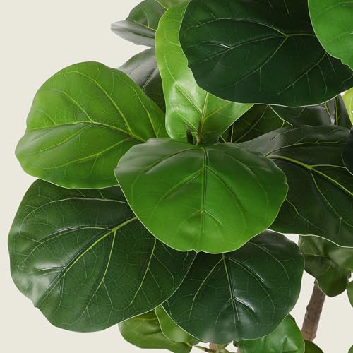 5ft Artificial Fiddle Leaf Fig Tree with White Planter - Lifelike Home Decor