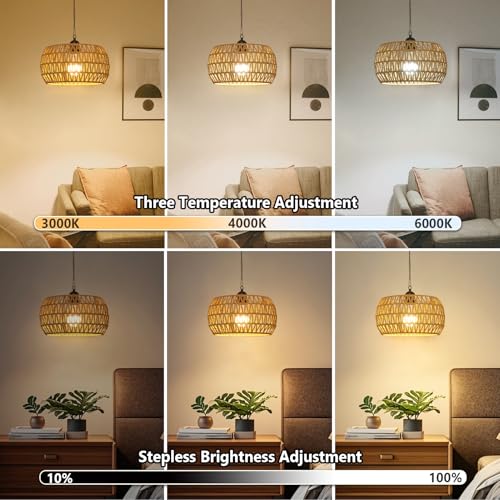 Battery Operated Rattan Pendant Light with Remote - 11.8” Boho Outdoor Chandelier for Porch & Indoor Use - Variation 1