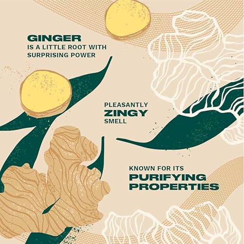 The Body Shop Ginger Scalp Care Conditioner (Vegan), Green, 8.4 Fl Oz