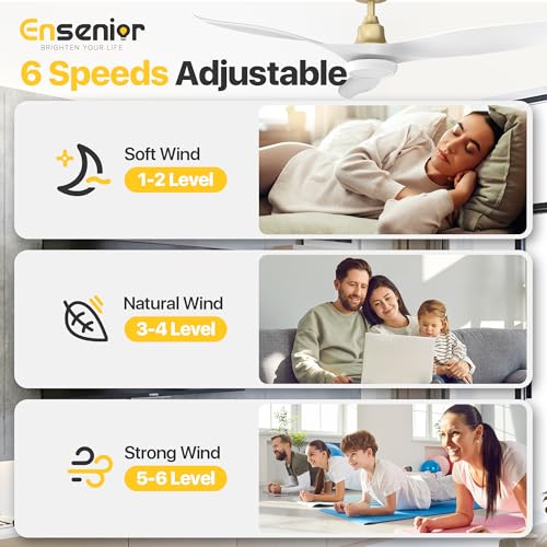 Ensenior 52 Inch Reversible Ceiling Fan with Lights & Remote - White & Gold