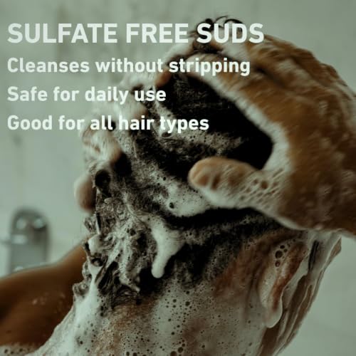 Men's 2-in-1 Shampoo & Conditioner - Sulfate-Free, Citrus Fragrance, 10 Fl Oz