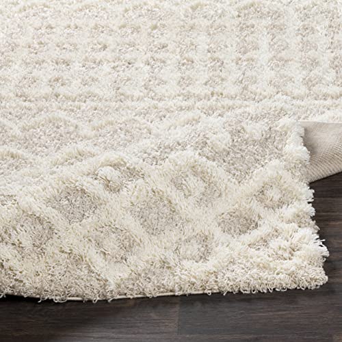 Livabliss Moroccan Shag Area Rug 5'3" x 7'3" Beige Modern Home Decor