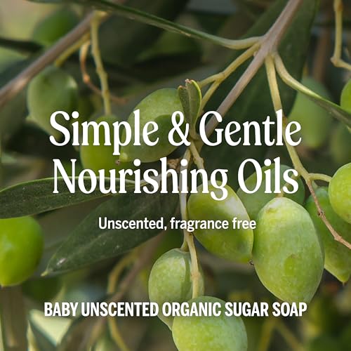 Unscented Organic Sugar Soap for Baby Bath & Skin - 24 oz - Dr. Bronner's Variation