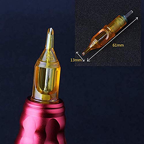 Disposable Tattoo Needle Cartridges 100 Pack Assorted RL, RS, M1 for Tattoo Machines