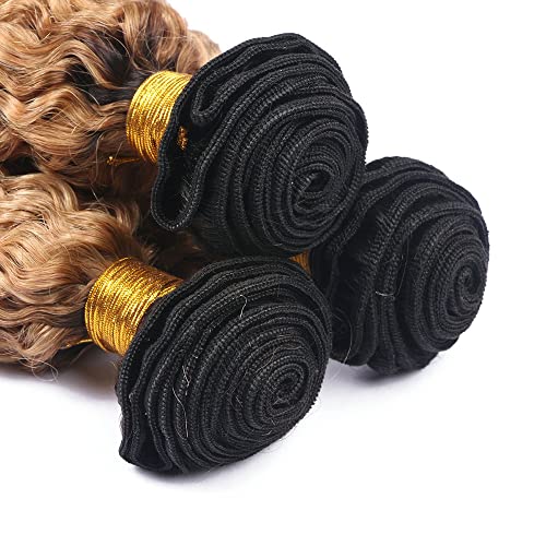 Weeybay 1B/27/D Deep Wave Human Hair Bundles Ombre Blonde 14/16/18 Inch - Black & Honey Blonde, 150g/Pack