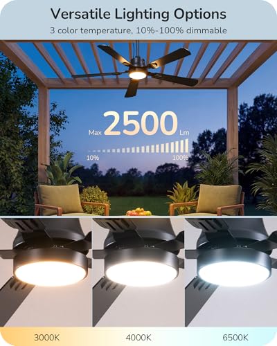 Outdoor Ceiling Fan with Light Black 52 Inch Remote Control Waterproof 5200 CFM