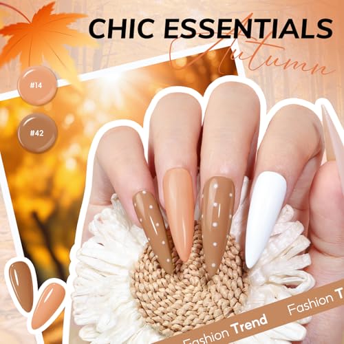 COSCELIA 73pc Gel Nail Polish Kit with UV Light - 60 Bottles Gel Nail Polish (Variation: 60 Bottles Gel Nail Polish Kit)