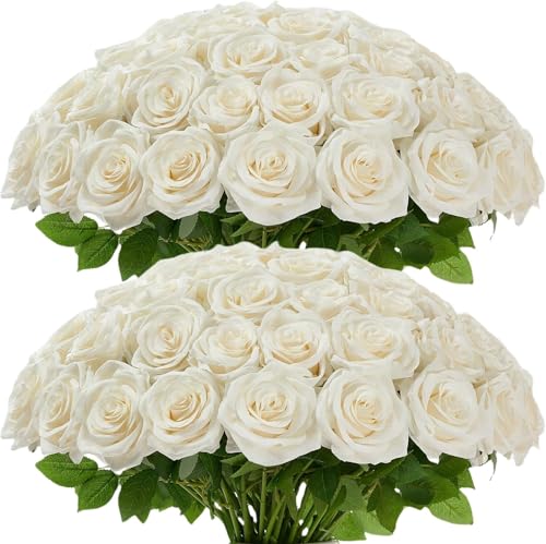 Ivory Artificial Rose Flowers Bulk Pack - Realistic Long Stem Fake Flowers for Wedding & Home Decor