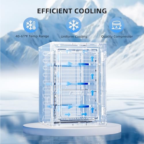 Black Antarctic Star 18L Beverage Refrigerator Cooler 24 Can Mini Fridge with LED Light