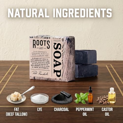 Charcoal & Peppermint Tallow Soap Bar - Pack of 2 | Rich's Backyard