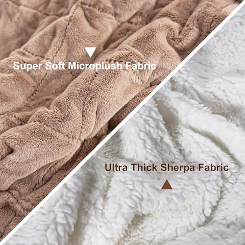 Weighted Heated Blanket for Adults with 12 Heat Levels - 50x60 Brown