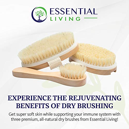 Dry Brushing Spa Kit with 1 Face Brush & 2 Body Scrub Brushes for Skin Exfoliation