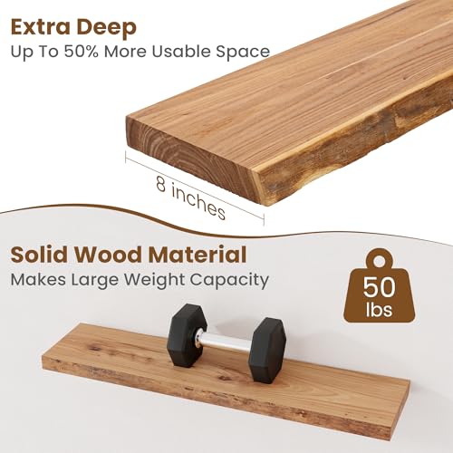 Live Edge Floating Shelves for Wall - 32 Inch Set of 2 Natural Elm Wood Shelves - Rustic Wall Storage